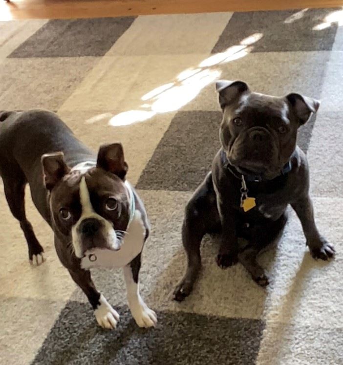 Bruno & Dallas