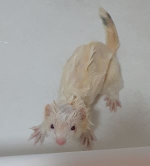 bath time
