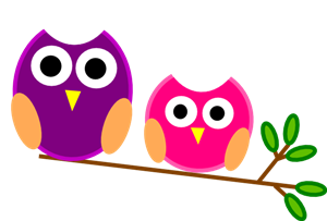 owls owls