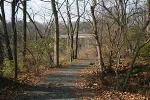 Trail 